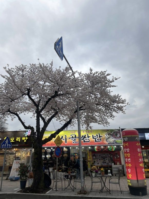 경주 첨성대•대릉원 한식전문점 관광지 근처 맛집 시골쌈밥