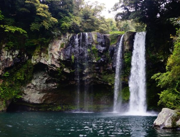 목숨을 건 은어의 귀향… 제주 민물고기들의 생존 대서사시