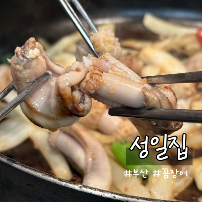 부산 중구 남포동 자갈치 한가인님도 다녀가신 꼼장어집 성일집, 솔직후기