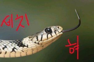 뷰어 이미지
