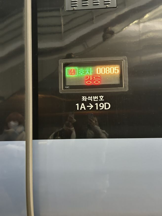 강릉 1박 1일 브이로그🐥 벌집 칼국수부터 도깨비 촬영지까지 ep.1