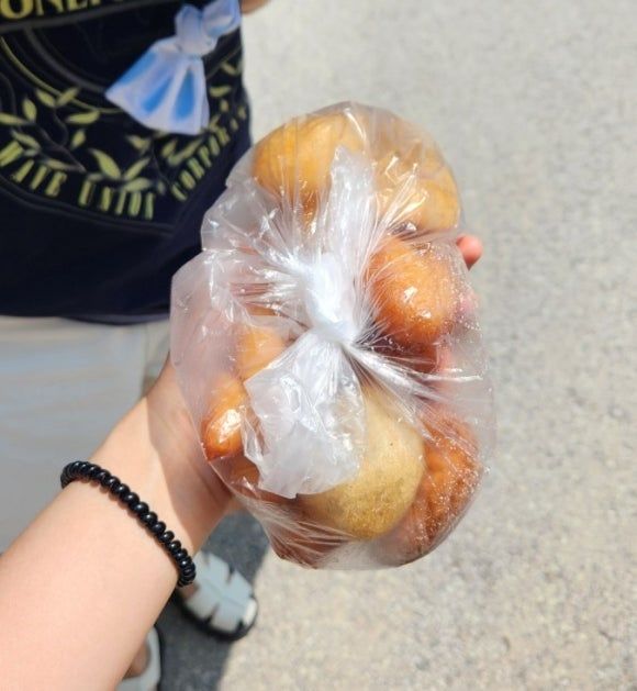 삼척 문화제과 꽈배기 예약 방법 꿀팁, 웨이팅, 맛 솔직후기, 이화루 옆 간식집