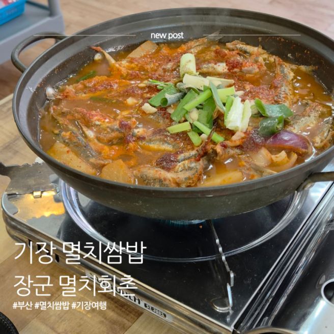 기장 대변항 멸치찌개｜장군 멸치회촌 내돈내산 후기
