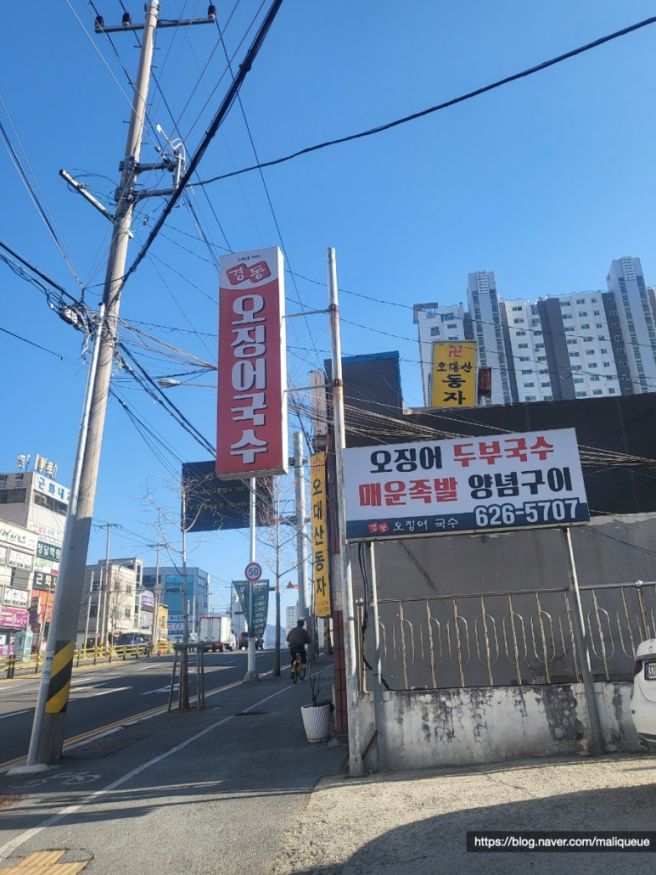 [대전 동구] 두부랑 오징어가 들어있는 국수가 있다? <경동 오징어 국수>_내돈내산