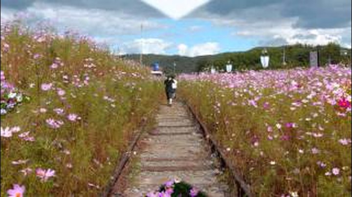 사랑하는 황후 대담] 皇后는 와보라... 칭기스칸의 妻는 '비하인드 스토리'를 보니... 서역까지 가서 '求해다가' 皇帝 만들었다는데 皇后는 뭐가 하고 싶니 | 인스티즈